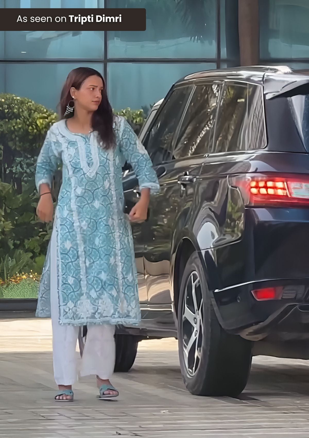 Aidah Chikankari Printed Mulmul Straight Kurta